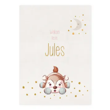 Geboortekaart enkel Jules hertje