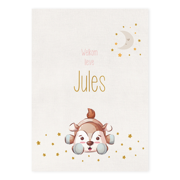Geboortekaartje enkel Jules hertje