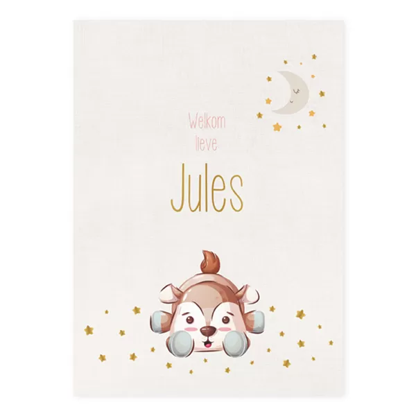 Geboortekaart enkel Jules hertje