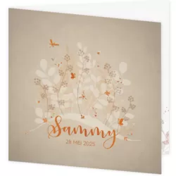 Geboortekaartje Sammy - Takjes met vlindertjes