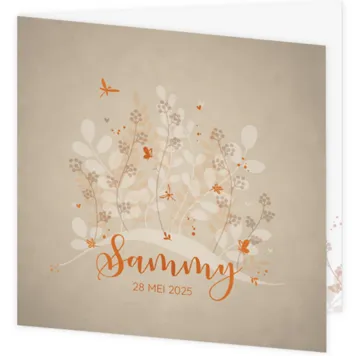 Geboortekaartje Sammy - Takjes met vlindertjes