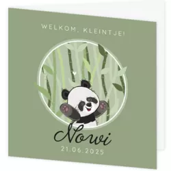 Geboortekaartje Nowi - Kleine Panda