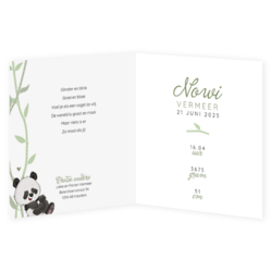 Geboortekaartje Nowi - Kleine Panda