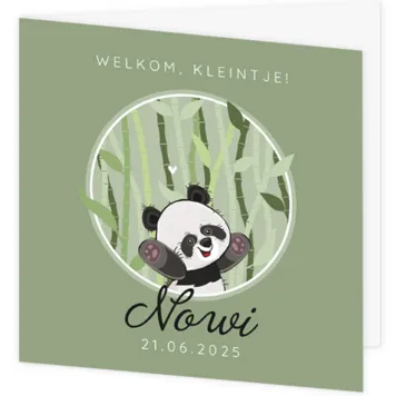 Geboortekaartje Nowi - Kleine Panda