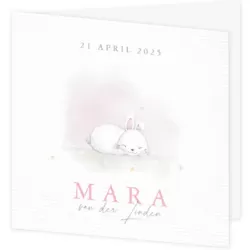 Geboortekaartje Mara - Slapend konijntje
