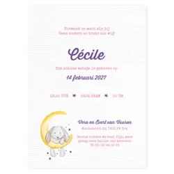 Geboortekaart Cécile - Baby konijn