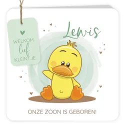 Geboortekaart Lewis - Zwaaiend eendje