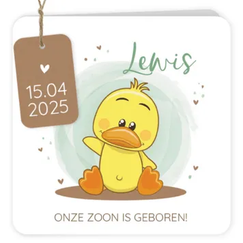 Geboortekaart Lewis - Zwaaiend eendje