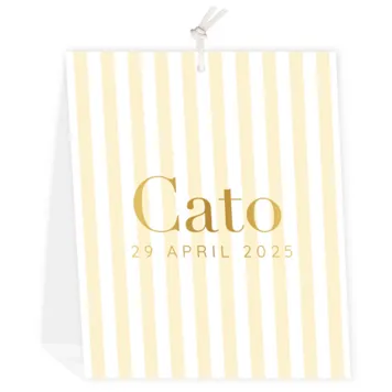 Geboortekaartje Cato - Streeppatroon met goudfolie