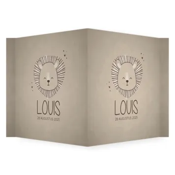 Raambord Louis - Leeuwtje