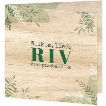 Geboortekaartje Riv - Groene takjes