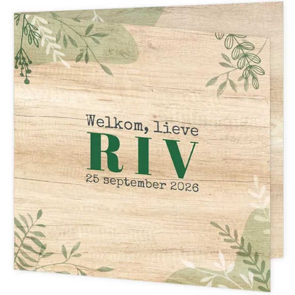 Geboortekaartje Riv - Groene takjes
