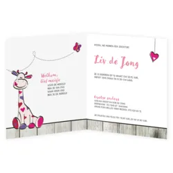 Geboortekaartje Liv - Roze Girafje