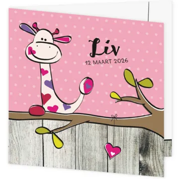Geboortekaartje Liv - Roze Girafje