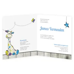 Geboortekaartje James - Blauw Girafje