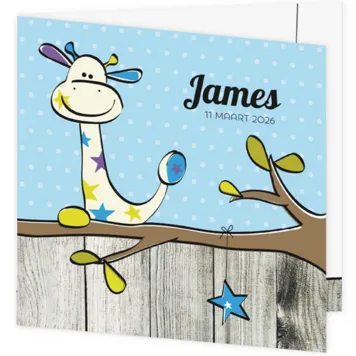 Geboortekaartje James - Blauw Girafje