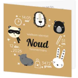 Geboortekaartje Noud - Vrolijke dieren