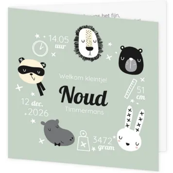 Geboortekaartje Noud - Vrolijke dieren