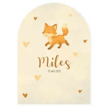 Geboortekaartje Miles - Lief vosje