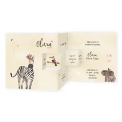 Geboortekaartje Olivia - Zebra en hartjes