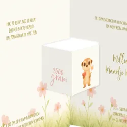 Geboortekaartje Millie - Schattig stokstaartje en bloemen