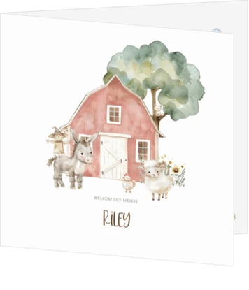 Boerderij met dieren