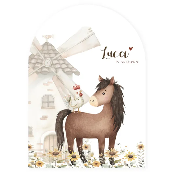 Geboortekaartje Luca - Paard en kipje