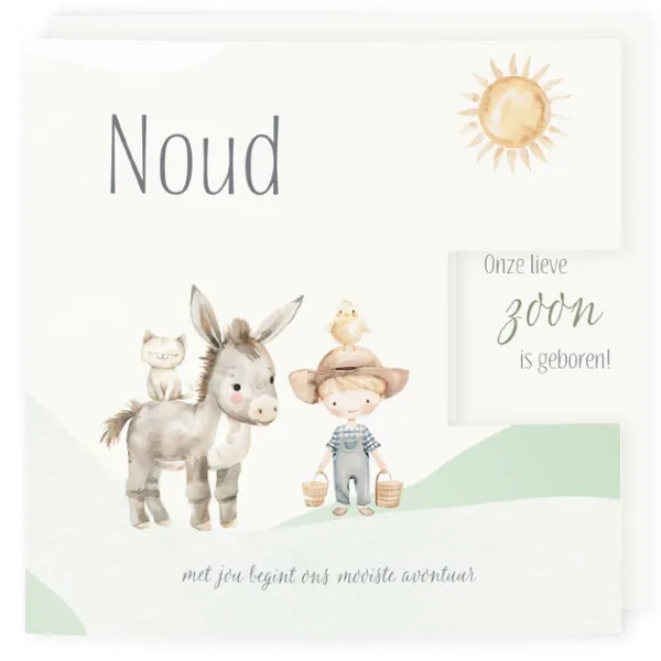 Geboortekaartje Noud - Kleine boeren jongen met ezel