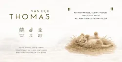 Geboortekaartje leeuwenfamilie savanne