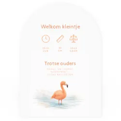 Geboortekaartje flamingo’s met ronde vorm