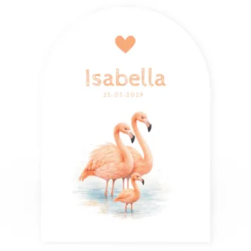 Geboortekaartje flamingo’s met ronde vorm