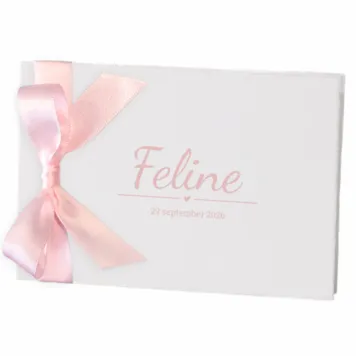 Oud Hollands papier met een licht roze satijnen lint