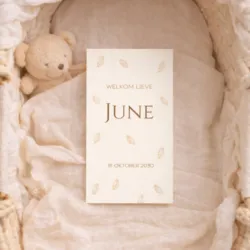 Geboortekaart enkel met veertjes bruin June