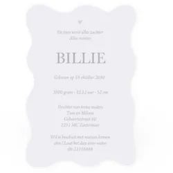 Geboortekaart enkel zilver foliedruk met strepen paars Billie