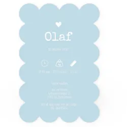 Geboortekaart cookies met flamingo blauw