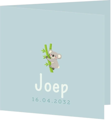 Lief geboortekaartje met illustratie van koala in bamboe