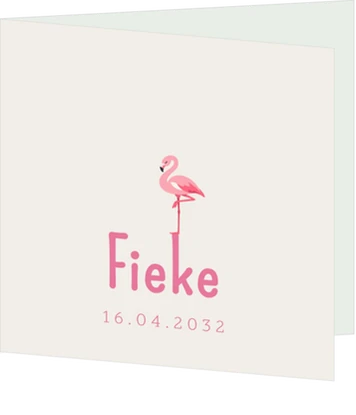 Fris geboortekaartje met getekende flamingo