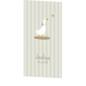 Schattig geboortekaartje voor een jongen met lieve gans