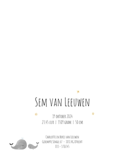 Sem - Kleine walvisjes