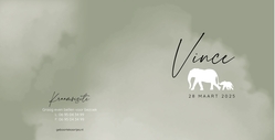 Geboortekaartje Vince - Kleine olifantjes