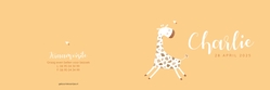 Geboortekaartje Charlie - Vrolijk girafje