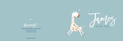 Geboortekaartje James - Grappig girafje