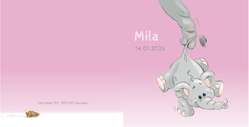 Mila - Olifanten pret
