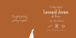 Lief geboortekaartje met getekende gans warm en minimalistisch ontwerp