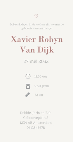 geboortekaartje met lijntekening broertjes en foliedruk