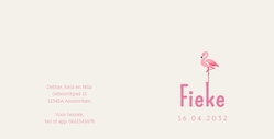 Fris geboortekaartje met getekende flamingo