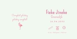 Fris geboortekaartje met getekende flamingo