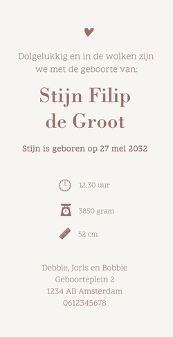 Lief geboortekaartje met minimalistische lijntekening van slapende broertjes