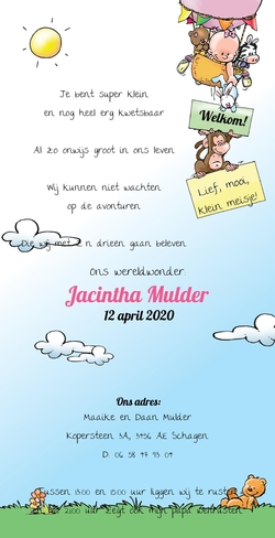 Jacintha - Baby met dieren in een luchtballon