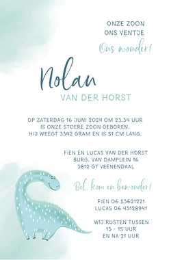 Geboortekaartje Nolan - Dino